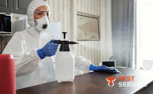 Дезинфекция в Межгорье