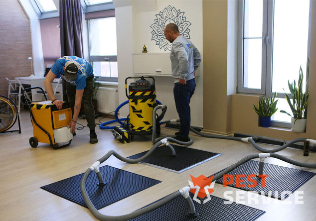 Профессиональная сушка после потопа в Межгорье от 3000 руб. Быстро устраняем влагу, предотвращаем плесень и повреждения. Современное оборудование и опытные специалисты. Безопасно и эффективно.